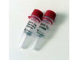 NEBNEXT QUICK LIGATION MOD 20