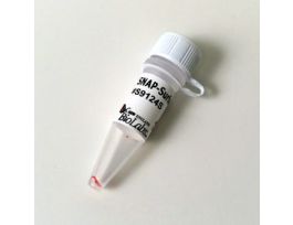 SNAP SURFACE 488 50 NMOL.