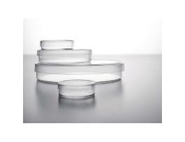 DISH 100X20MM TC 20PK CS200