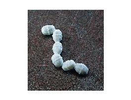 VWR STIR BAR PTFE SPIN PK6. PK