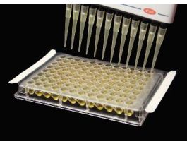 VWR FILM-PIERCEABLE ST CS50