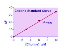 KIT CHOLINE ASY ENZYCHROM 0.2 UM 100TEST