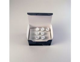 HISCRIBE T7 ARCA MRNA (WITH TAILING)