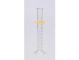 CYLINDER TC BMPR SCL 250ML PK1 PK