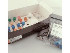 NEBNEXT MULTIPLEX SMALL RNA LI