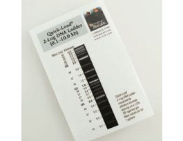 QUICK-LOAD 2-LOG DNA LADDER