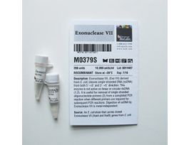 EXONUCLEASE VII M0379S