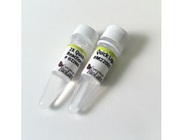 QUICK LIGATION KIT