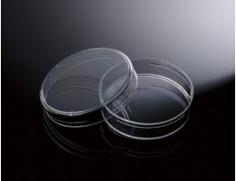 PETRI DISH W/TRIPLE VENT LID 150 MMX15MM