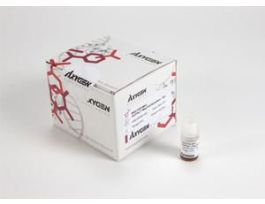 MGNTC PCR NORM KIT ML 250EA.