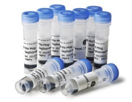 MAG BEADS HIS MAG SEPHAROSE EXCEL 2ML