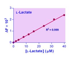 KIT L-LACTATE ASSAY ENZYFLUO 1UM 100TEST