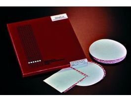 GVS LIFE SCIENCES NITROCELLULOSE SUPPORT