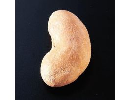 FREEZE-DRIED SHEEP KIDNEY PK/10 PM