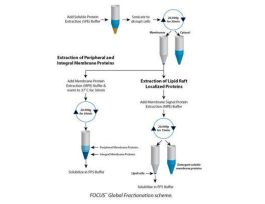 KIT GLOBAL FRACTIONATION FOCUS 50PREP