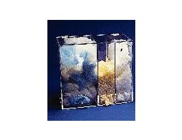 GLOVE/BEARD DISPENSER 3 HOLES.