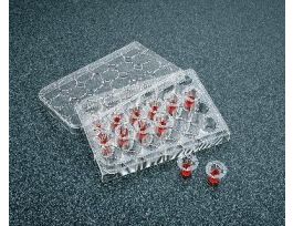 TRANSWELL INSERTS 6.5MM CS48