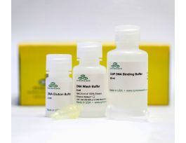 GENOMIC DNA CLEAN & CONC-25 (25 PREPS)