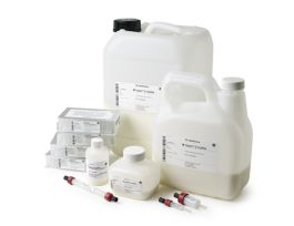 CAPTO Q IMPRESS SAX 36-44UM 25ML