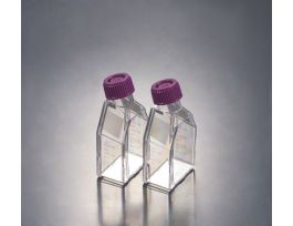 VWR 25MLCULTURE FLASK NON-TREATED PL CAP