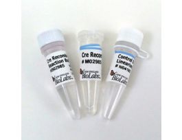 CRE RECOMBINASE - 50 UNITS