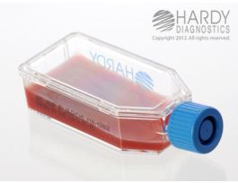 BHI AGAR W/BLD CHLR&GENT PLSTC FLASK