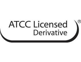 EPOWER ENTEROCOCCUS FAECALIS ATCC 29212