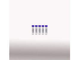 CUSTOMIZ SDS PROTN GEL PK5X1ML