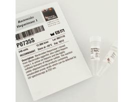 BACTEROIDES HEPARINASE I - 240