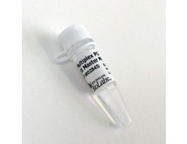 MULTIPLEX PCR 5X MIX 50UL