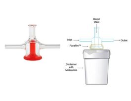 GLASS MOSQUITO FEEDER