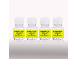 1X LOW-EDTA TE PH8.0 PK4X100ML