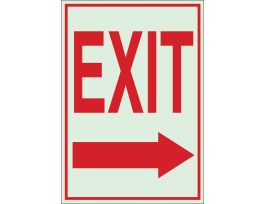 BradyGlo Exit Sign, 14" H x 10" W x 0.008" D