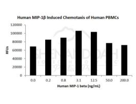 HUMAN MIP-1 BETA (CCL4) 10UG