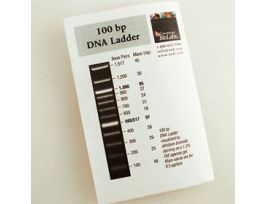 100 BP DNA LADDER 100 GEL LNES