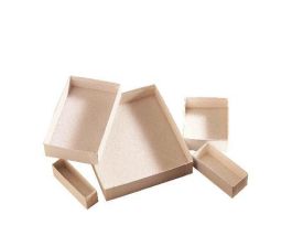 CORNELL UNIT PINNING TRAY PK