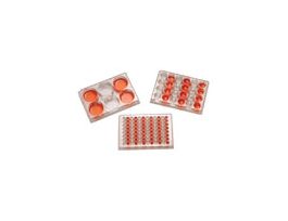 Sterile Tissue Culture 6-Well Plate, 100/cs