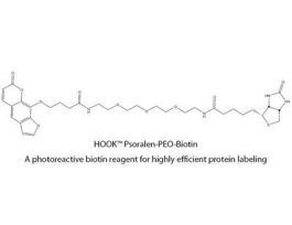 PSORALON-PEO-BIOTIN HOOK 5MGF/PRT LBL