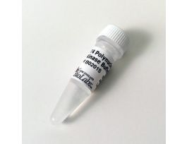 T4 POLYNUCL KINASE REAC BUF.