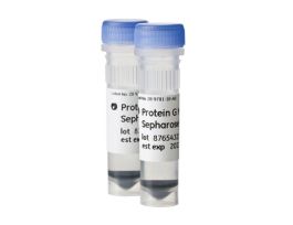 PROTEIN G MAG SEPHAROSE XTRA 2