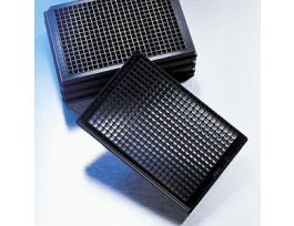 PLATE 384W BLK/CLR NT NS CS100