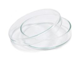 Borosil® Culture/ Petri Dish, with Cover, 3.3 Borosilicate, 80mm x 17mm (OD x H),  100/CS