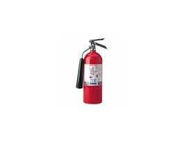 5LB. PRO 5 CDM CARBON DIOXIDE FIRE EXTING