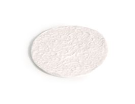 Filters, for ASE 200, Pack of 100 Replaces Dionex PN 049458