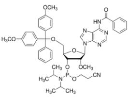 DMT-2'O-Methyl-rA(bz) Phosphoramidite 100G