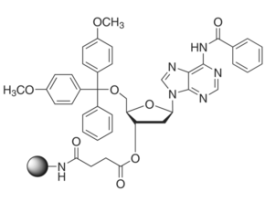 DMT-dA(bz)-CPGpore size 500 , 30-40mumol/g 1G