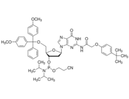 DMT-dG(tac) Phosphoramiditeconfigured for PerkinElmer, configured for Polygen 12X1G