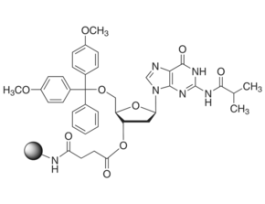 DMT-dG(ib)-CPGpore size 500 , 30-40mumol/g 10G
