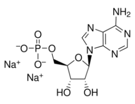 Adenosine 5'-monophosphate disodium salt>=99.0% (HPLC) 25G