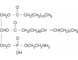 2-Oleoyl-1-palmitoyl-sn-glycero-3-phosphoethanolamine>=95% (HPLC) 100MG